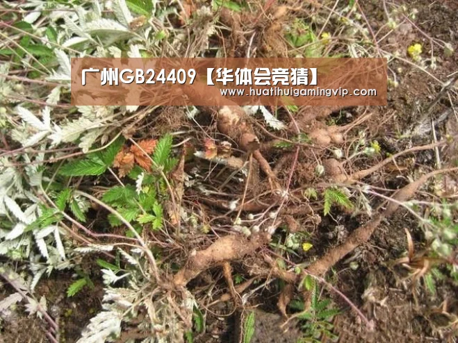 广州GB24409【华体会竞猜】(图2) 华体会官网