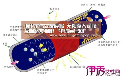 诺伊尔与女友度假 无视路人深情互吻怒发狗粮“华体会官网”(图2) 华体会官网
