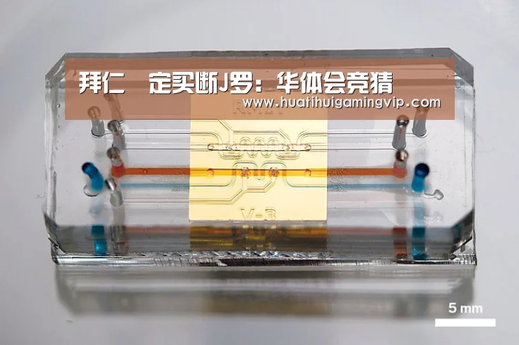 拜仁決定买断J罗:华体会竞猜(图1) 华体会APP